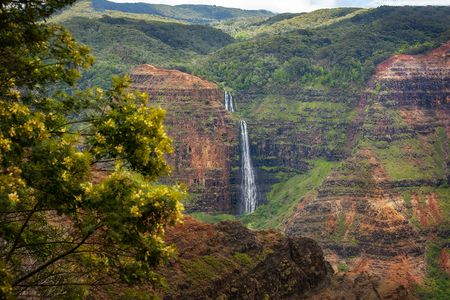 Waimea Canyon and Koke'e Adventure Tour