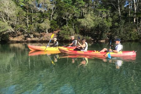 Brunswick River nature kayak tour
