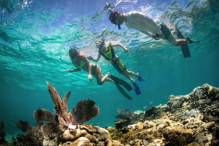 Florida Keys marine eco-adventure