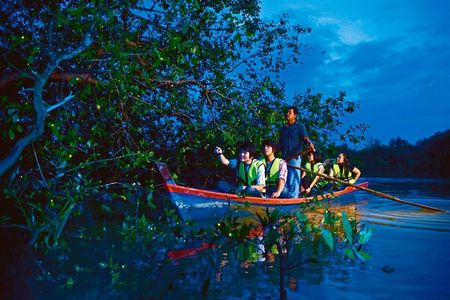 Selangor fireflies and Kampung evening tour with seafood dinner