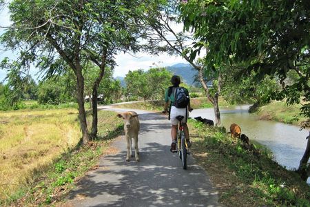 Evening cycling the Langkawi nature trails