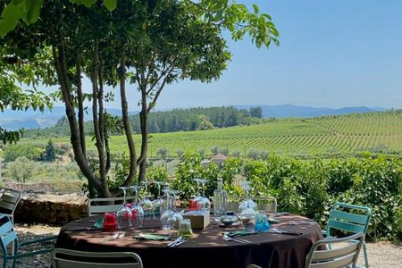 Full-day wine tour of Douro Valley