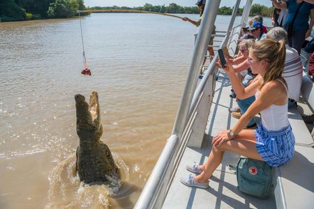 Spectacular Jumping Crocodile Cruise on the Adelaide river