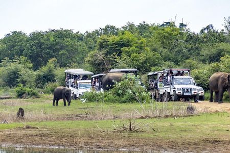 Udawalawe National Park private safari from Galle region