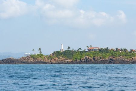 Mirissa whale watching from Negombo Region