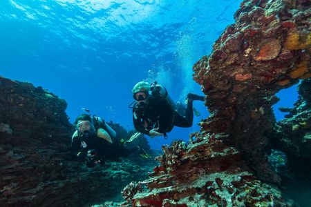 Oahu shallow reefs diving or snorkeling tour