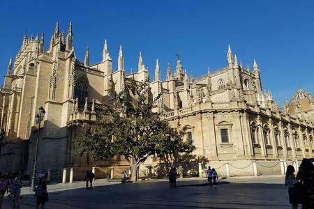 Sevilla Alcázar and cathedral guided tour with priority access tickets