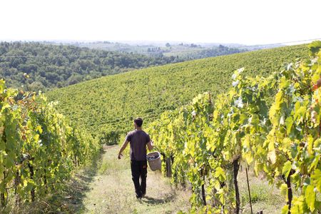 Chianti winery tour with 4 wines tasting