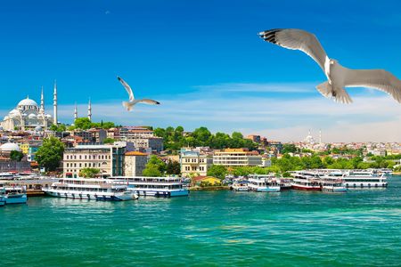 Discover the Bosphorus, Blue Mosque, Topkapi Palace and Basilica Cistern