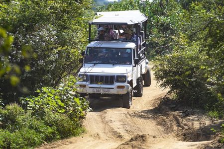 Udawalawe National Park private safari from Negombo region