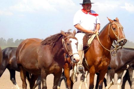 Estancia Santa Susana Gaucho day tour from Buenos Aires