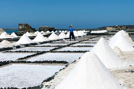 Salinas de Janubio Salt Flats Ticket