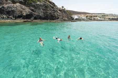 Sailing experience  with dolphin watching  in Fuerteventura