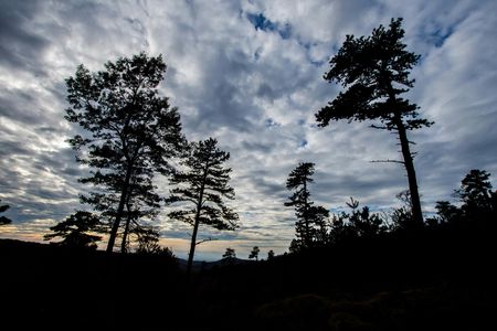 Intro to Michaux State Forest bike tour