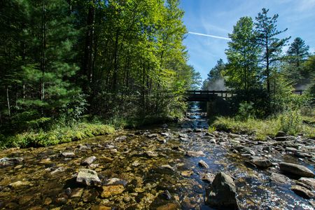 Michaux State Forest couple's bike ride