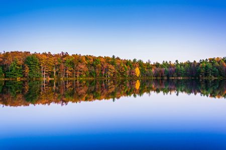 Michaux State Forest half-day bike tour