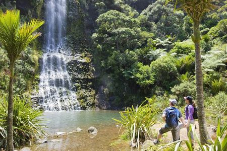 Auckland City and West Coast luxury small-group tour