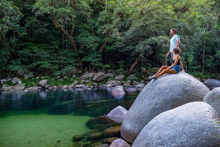 Daintree Rainforest Tour
