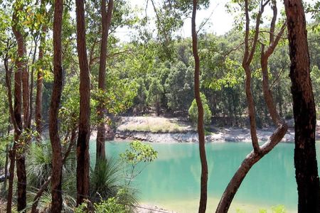 Guided hike in Araluen botanic park
