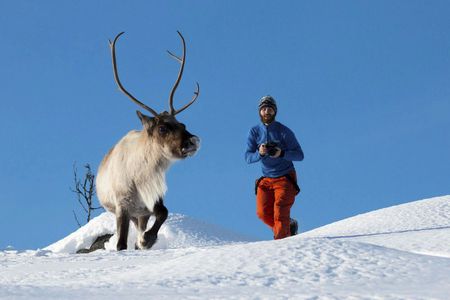 Arctic nature tour