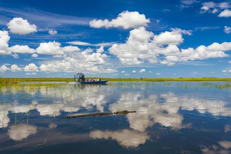 Everglades National Park full-day tour with round-trip transfer