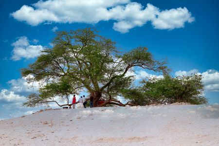 Flora and fauna trip in Bahrain from Manama