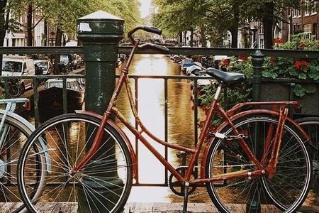 History of Amsterdam and city center semi-private walking tour