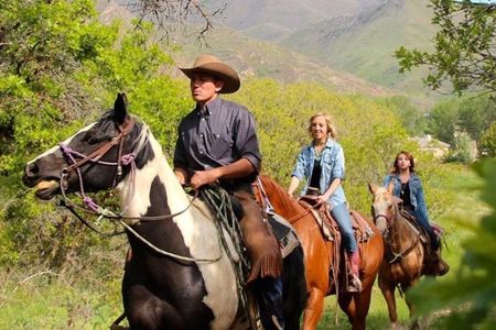 One-hour Western trail ride by horse in Salt Lake City