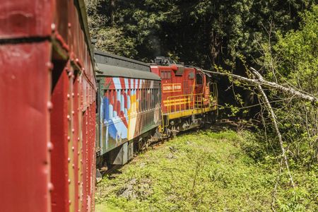 Skunk Train Pudding Creek Express tickets in Fort Bragg, CA