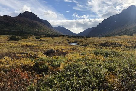 Flora and fauna nature walk in the Glen Alps
