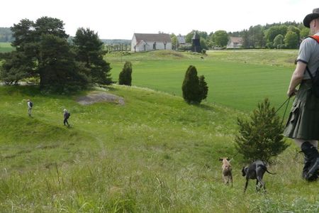 Guided nature tour with a Swedish picnic