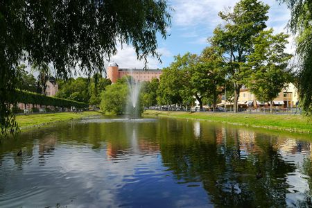 Learn about the reformation king of Uppsala on a guided walking tour