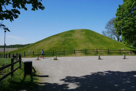 Guided Viking and vendel era walking tour in historic Uppsala