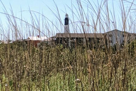 Private tour of Savannah's Historic District & islands
