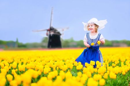 Shared tour of Delft and the Keukenhof Estate from Brussels