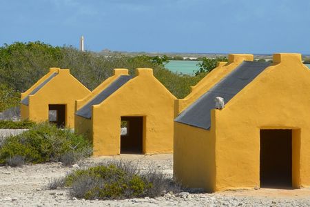 Discover Bonaire on a guided island tour
