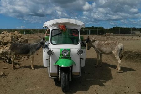 Donkey sanctuary visit by tuk-tuk