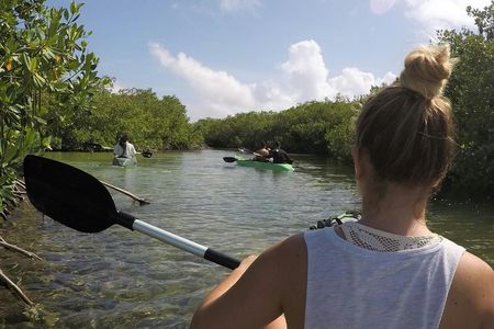 Lac Cai glass-bottom kayak and snorkel mangrove experience