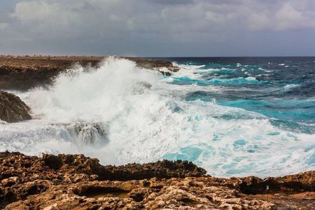 Guided tour to Washington-Slagbaai national park