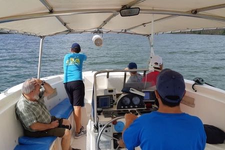 Delta del Ebro Natural Park 4x4 tour with boat ride