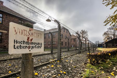 Auschwitz-Birkenau Memorial Museum fast-track entry and guided tour