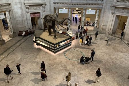 Washington DC Smithsonian National Museum of Natural History tickets and guided tour