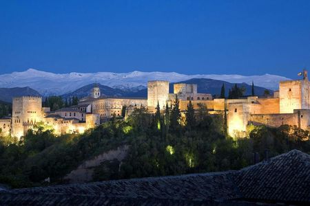Alhambra skip-the-line tickets and guided tour at night