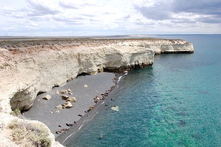 Puerto Madryn private tour and Punta Loma sea lions reserve visit