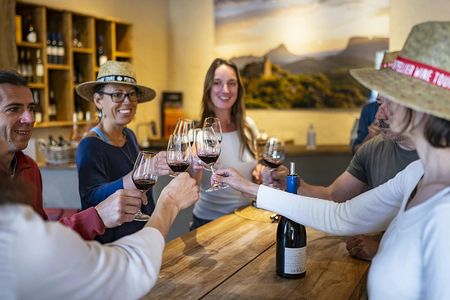 Pic Saint-Loup wine tasting experience for small groups