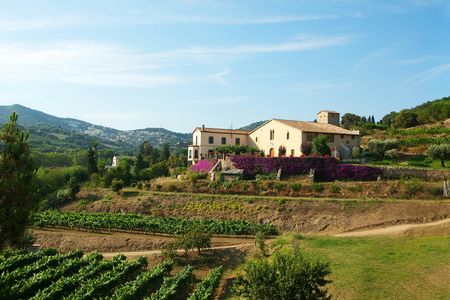 Boat tour to the vineyards with wine tasting from Barcelona