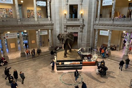 Washington DC Museum of Natural History private tour for families