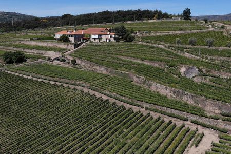 Wine tasting experience with tour of Quinta da Portela de Baixo winery
