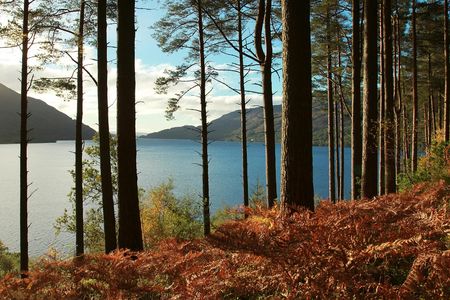 Loch Lomond and whisky small-group day tour from Glasgow