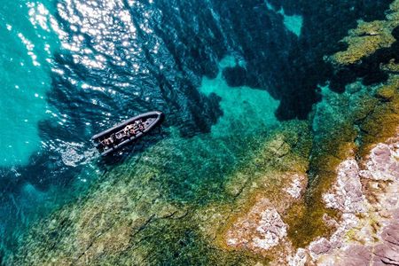 Boat trip to the Esterel Calanques from Cannes